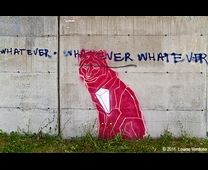 GRAFFITI SUR LES MURS 4