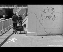 GRAFFITI DANS LES RUES