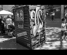 Animaux