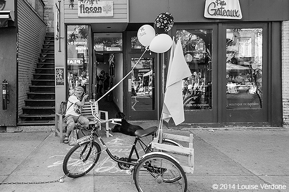 Photographing the Dog