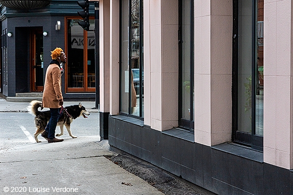 Dog, Orange and Pink