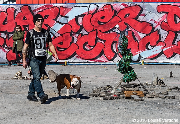 Dog and Christmas Tree