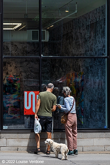 Dog and Window Shopping
