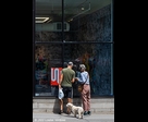 Dog and Window Shopping