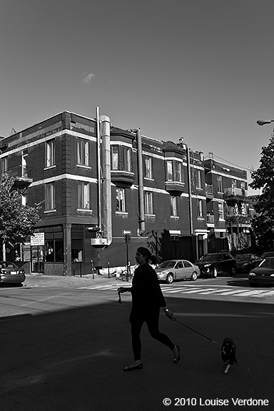Woman and Dog in the Dark