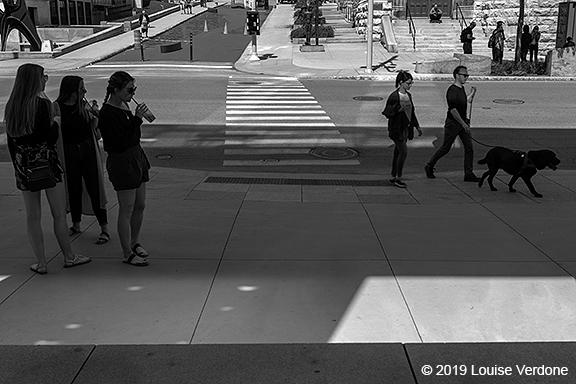 People and Dog in the Dark