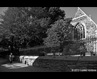 Man and Dog in the Light