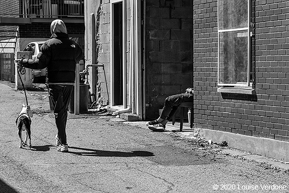 Walking the Dog and Break