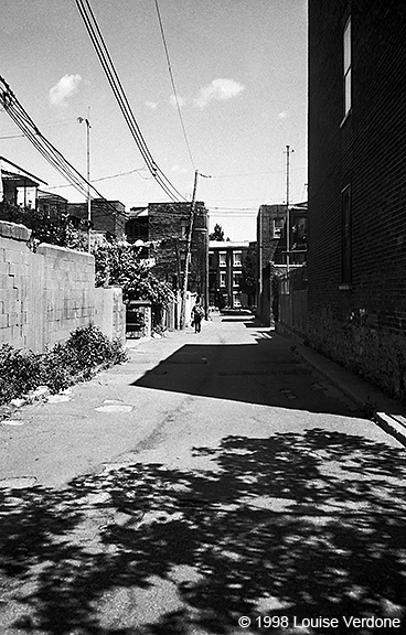 Pedestiran and Tree Shadows