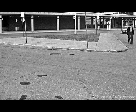 Man in the Street