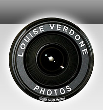 Louise Verdone